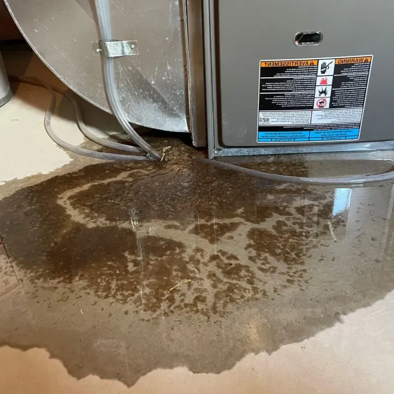 Pipe Burst and Leak Restoration in Berks County, PA