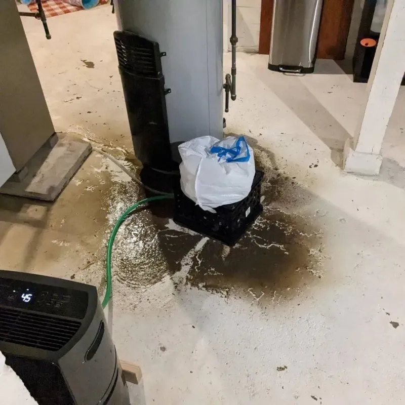 Sewage Backup Cleanup Service in Berks County, PA